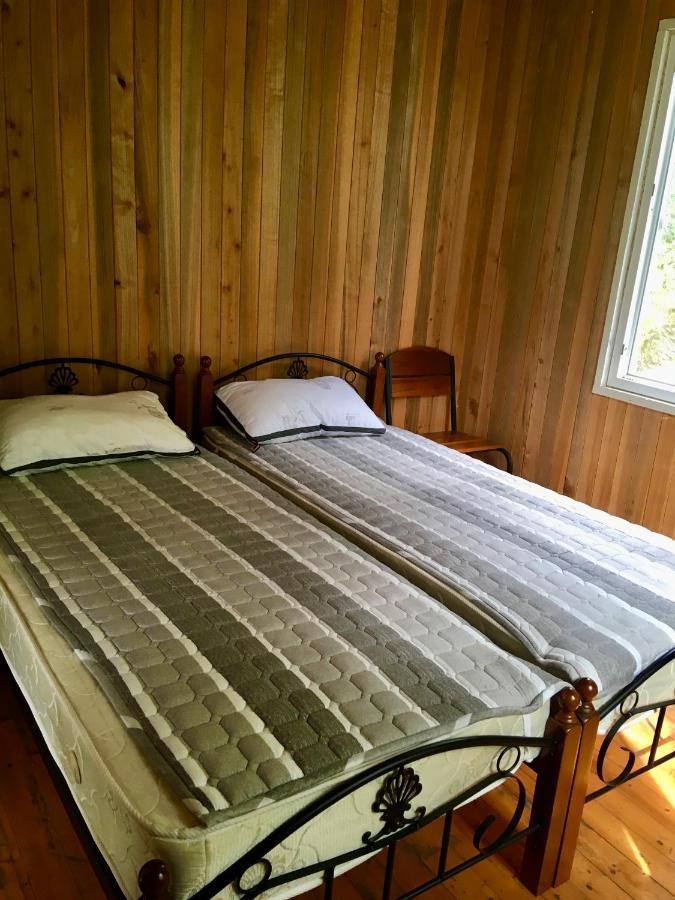 House In Gonio-Kvariati Economy Class エクステリア 写真