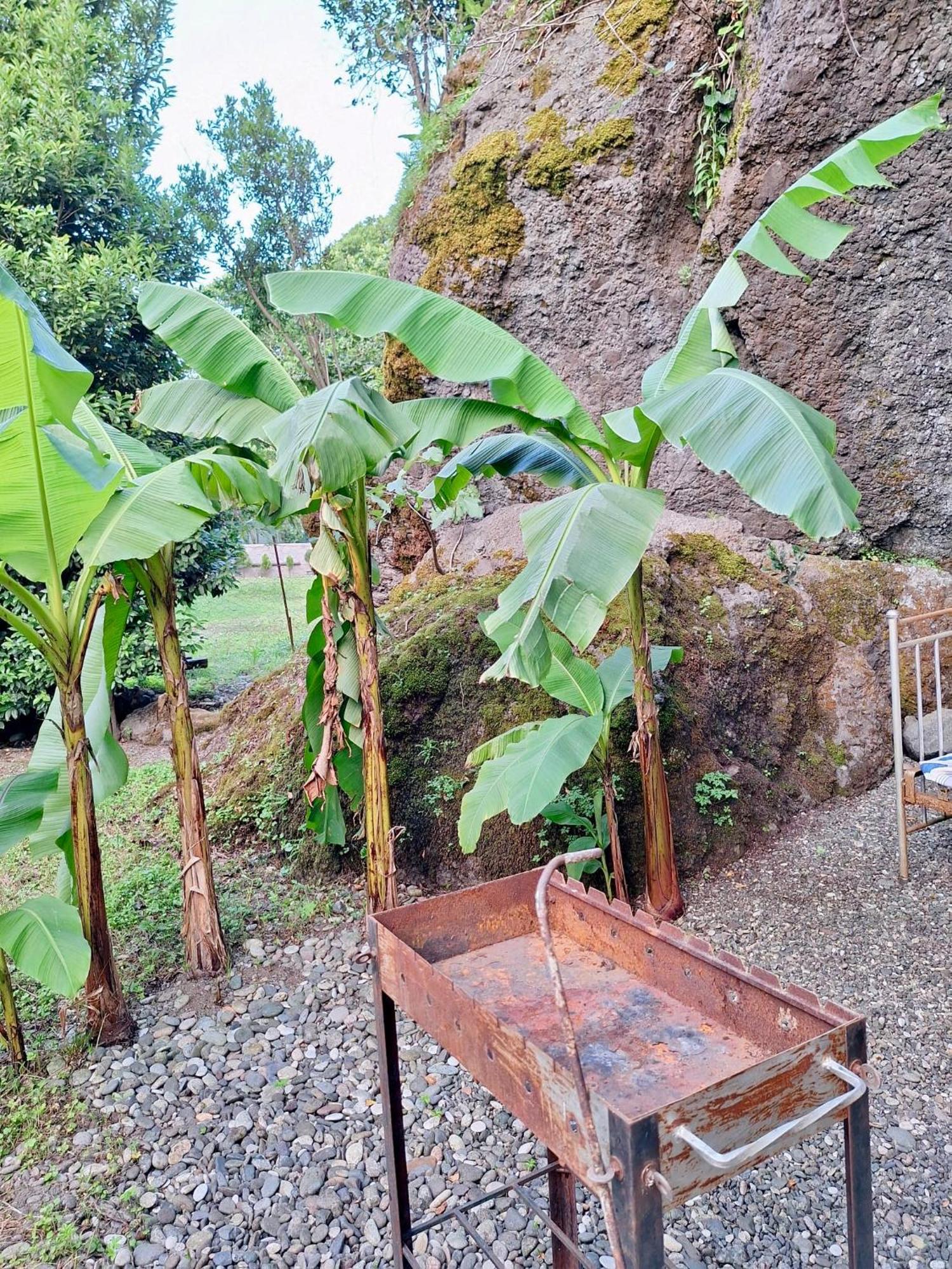 House In Gonio-Kvariati Economy Class エクステリア 写真